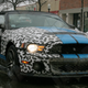Image for article titled 2010 Shelby GT500